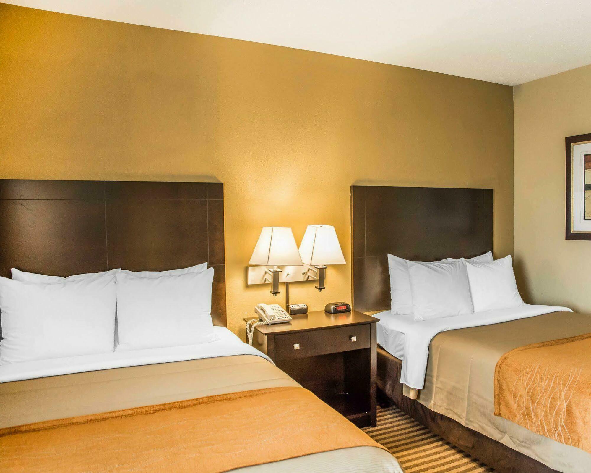 Comfort Inn Airport Turfway Road Florence Εξωτερικό φωτογραφία